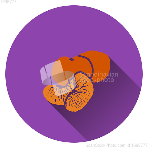 Image of Mandarin icon