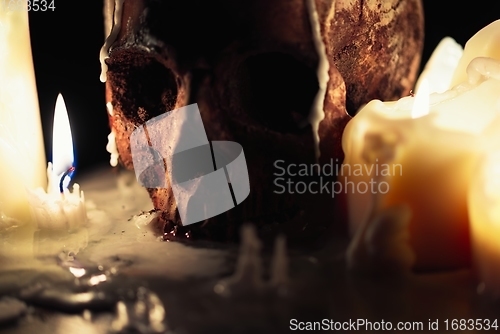 Image of Human skull in candle light closeup