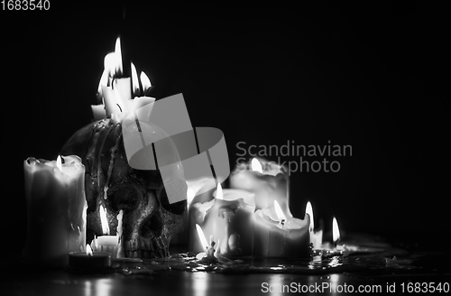 Image of Candles and human skull in darkness closeup in black and whiter