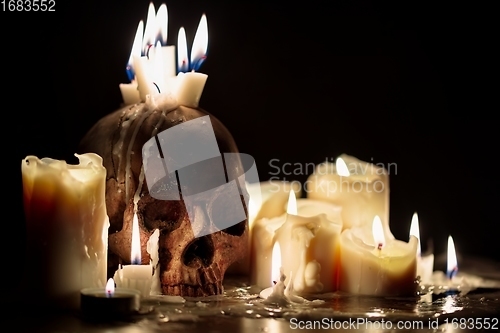 Image of Human skull in candle light closeup