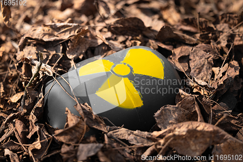 Image of Radioactive waste thrown out as garbage