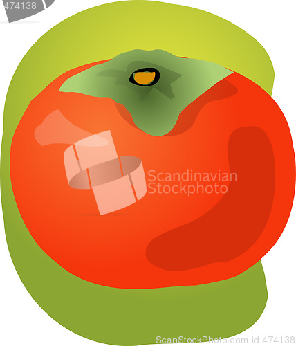 Image of Persimmon fruit illustration