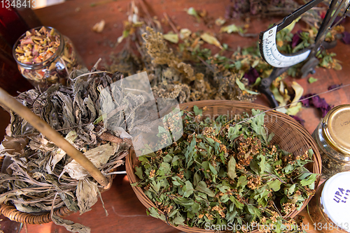 Image of herbalist workshop