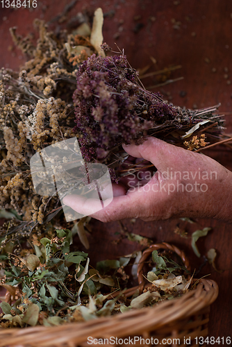 Image of herbalist workshop