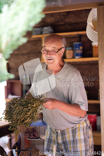 Image of herbalist