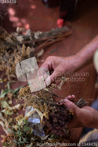 Image of herbalist workshop