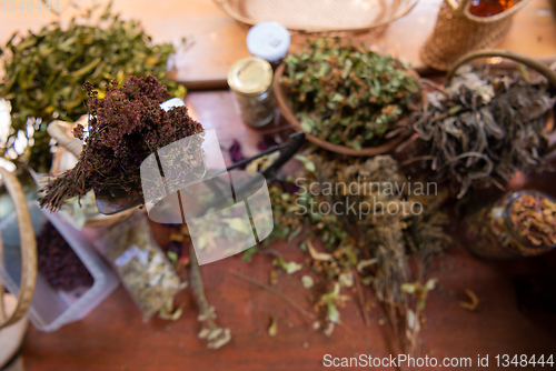 Image of herbalist workshop