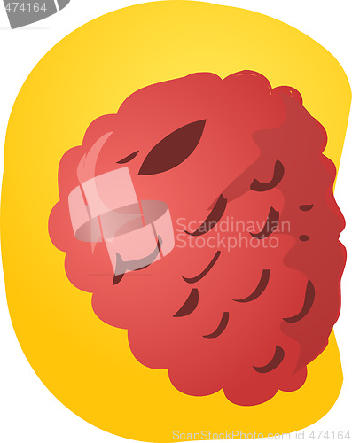 Image of Raspberry fruit illustration