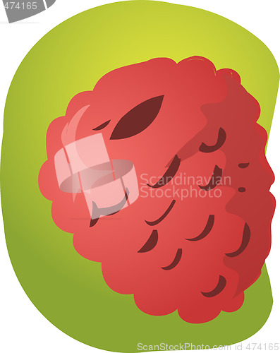 Image of Raspberry fruit illustration