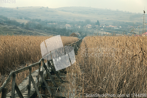 Image of wooden footpath through the reeds