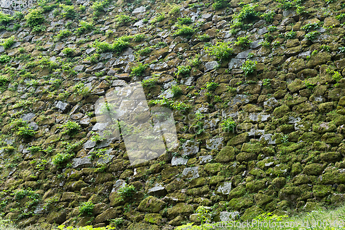 Image of Old gray stone wall with green moss texture
