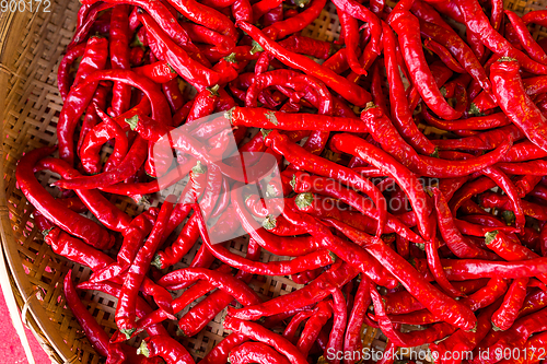 Image of Red hot chilly peper