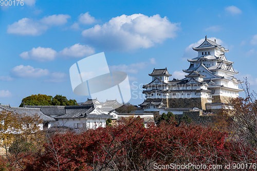 Image of Japanese Himeiji Castle and maple tree