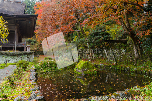 Image of Beautiful Japanese park in autumn
