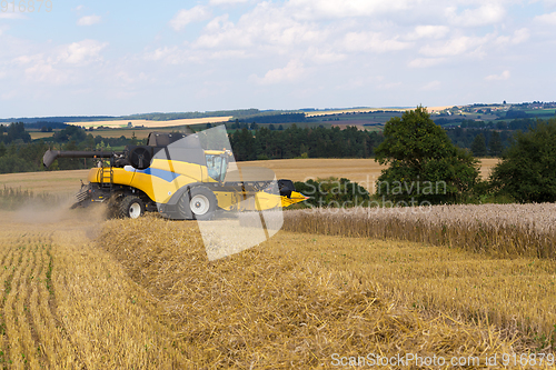 Image of Summer harvesting with automatic harvester