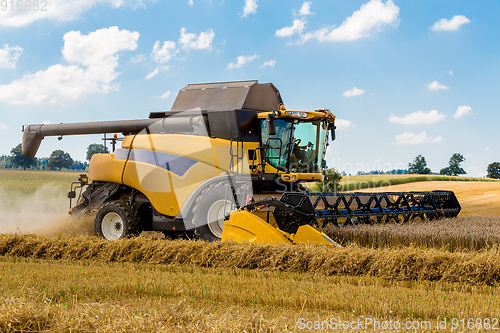 Image of Summer harvesting with automatic harvester