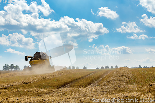 Image of Summer harvesting with automatic harvester