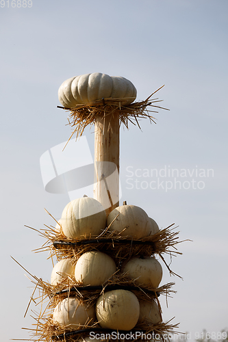Image of Ripe autumn pumpkins arranged on totem in farm
