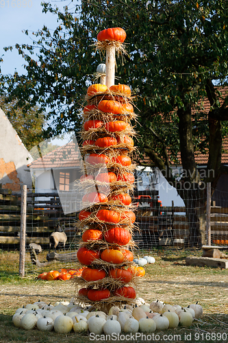 Image of Ripe autumn pumpkins arranged on totem in farm