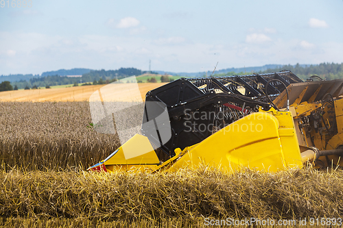 Image of Summer harvesting with automatic harvester