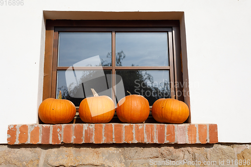Image of ripe autumn pumpkins on the farm