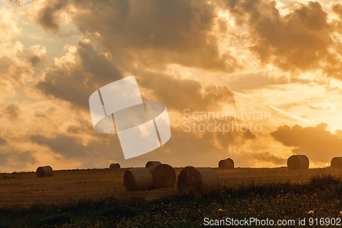 Image of harvested field with straw bales in evening summer