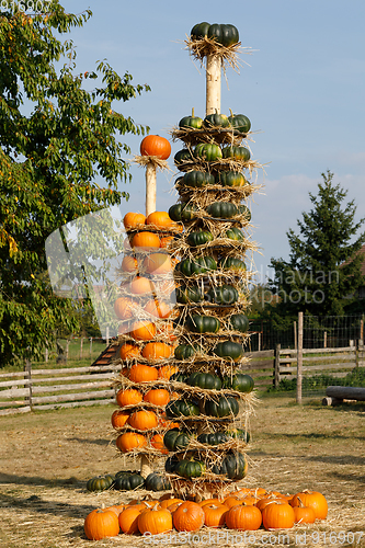 Image of Ripe autumn pumpkins arranged on totem in farm