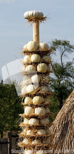 Image of Ripe autumn pumpkins arranged on totem in farm
