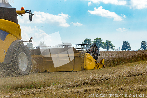 Image of Summer harvesting with automatic harvester