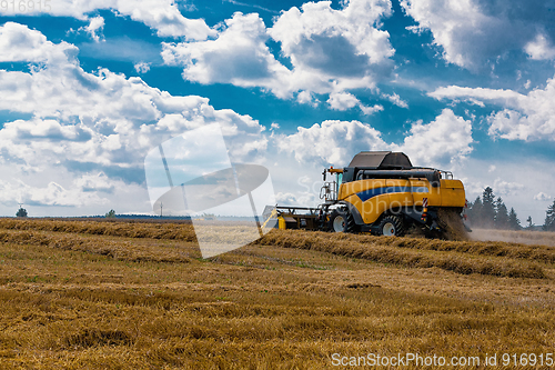 Image of Summer harvesting with automatic harvester