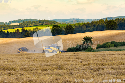 Image of Summer harvesting with automatic harvester