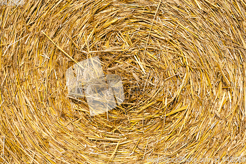 Image of dry straw closeup