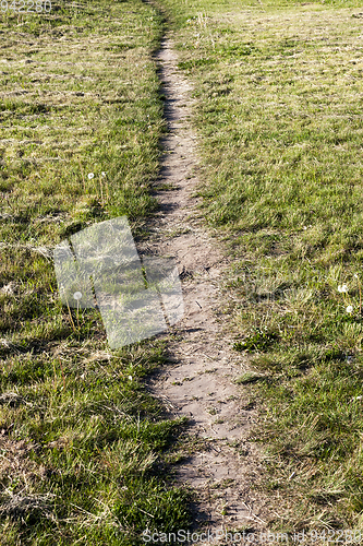 Image of path on the lawn