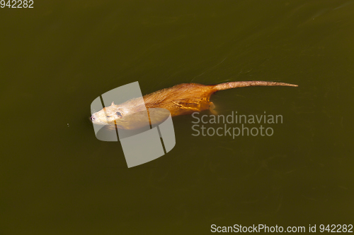 Image of Water in the lake