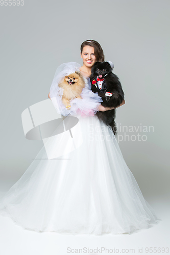 Image of bride girl with Spitz dog wedding couple
