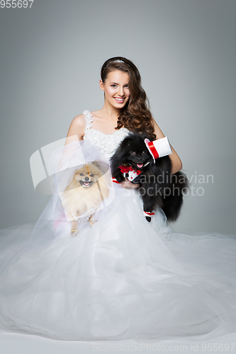 Image of bride girl with Spitz dog wedding couple