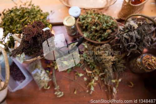 Image of herbalist workshop