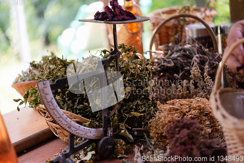 Image of herbalist small business owner