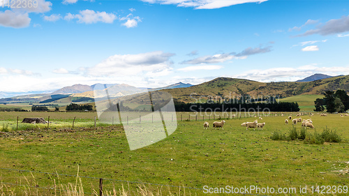 Image of Landscape scenery in south New Zealand