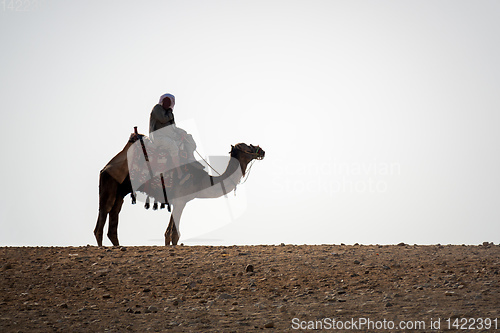 Image of camel ride in the desert Cairo Egypt