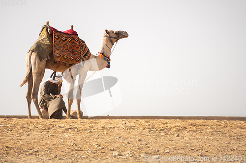 Image of camel ride in the desert Cairo Egypt