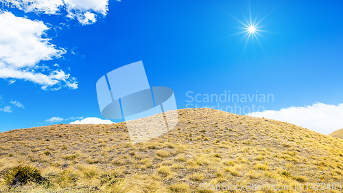 Image of dry grass hill meadow with space for your content