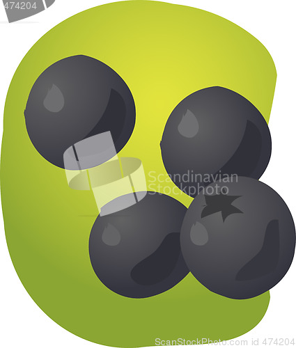 Image of Blueberries illustration