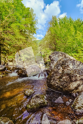 Image of The Devin River Valley