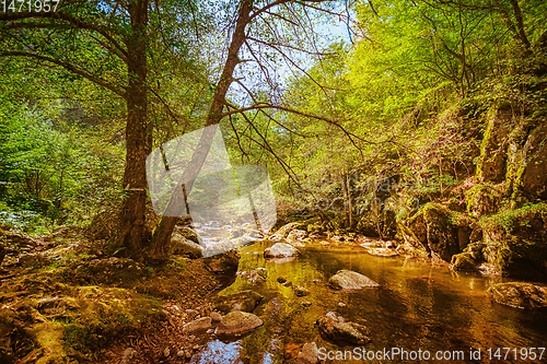 Image of The Devin River Valley