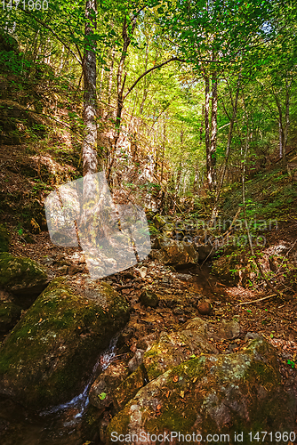 Image of The Devin River Valley