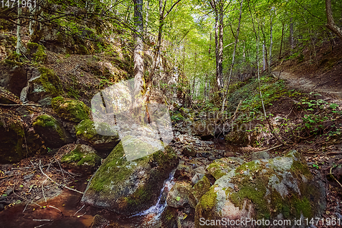 Image of The Devin River Valley