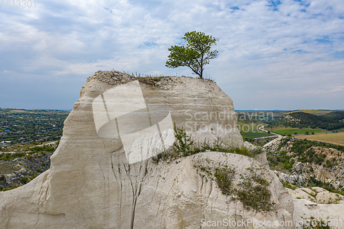 Image of Lonely tree at limestone quarry in Moldova