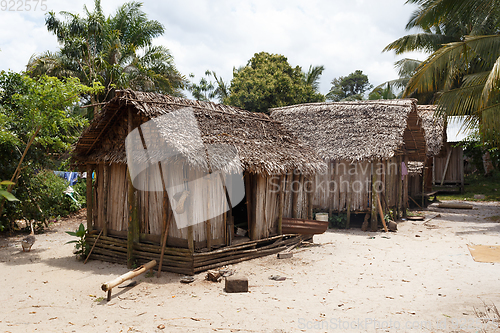 Image of Africa malagasy huts in Maroantsetra region, Madagascar