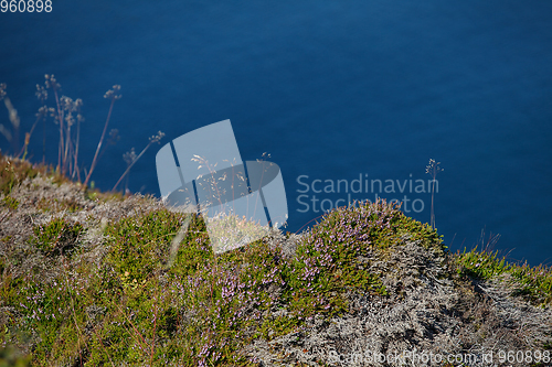 Image of Beautiful view on norwegian fjords